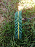 bracelet homme entièrement tissé à la main 